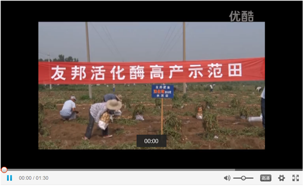 友邦活化酶高產(chǎn)示范田—馬鈴薯基地喜獲豐收