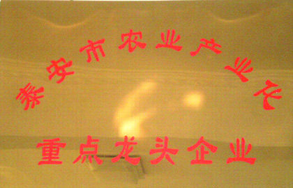 泰安市農(nóng)業(yè)產(chǎn)業(yè)化重點龍頭企業(yè)